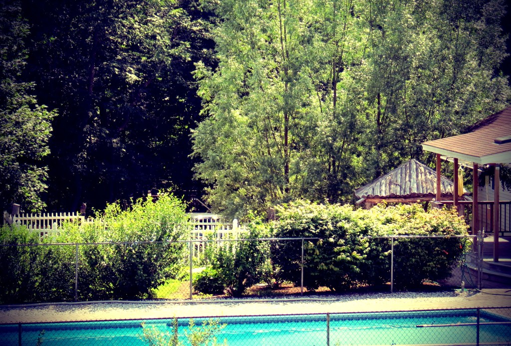 Another Day in Paradise