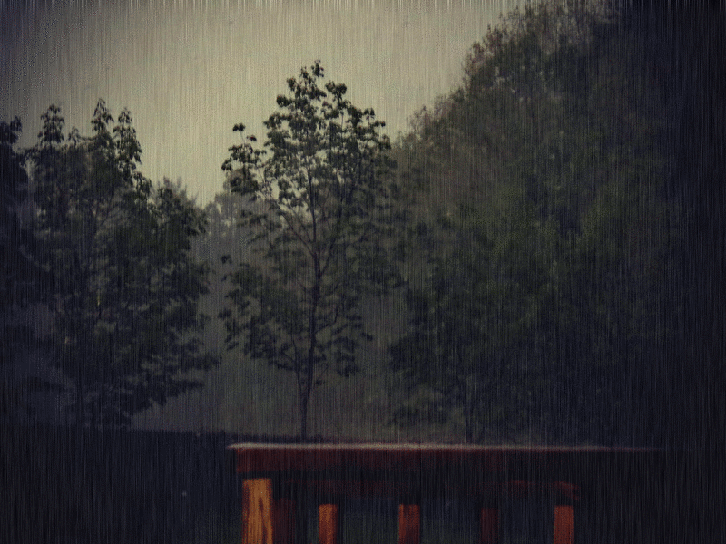 The Reality of Perception