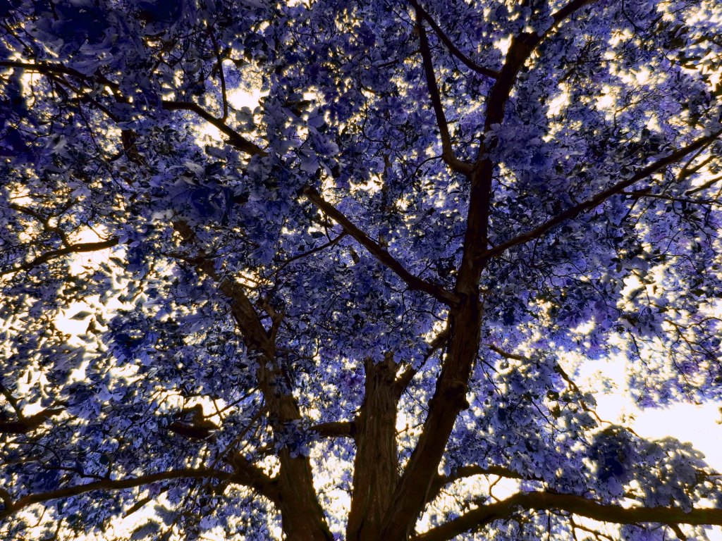 The Illusion of&nbsp;Separation