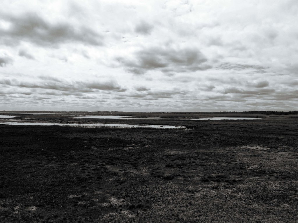 Where Emptiness Meets Eternity ~ From Creepy AI Art to Spiritual&nbsp;Synchronicities